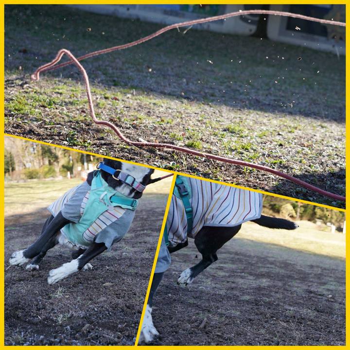 Cb316b65 788f 40fc 8487 e67581111ec9 1773190872455