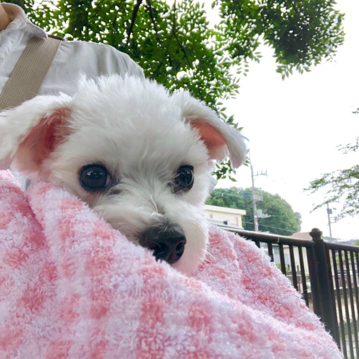 Cb316f25 8941 4b3a 9d0f cba6f5ba0b56 1563248698717