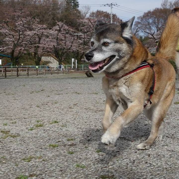 Cb31af53 a198 4b1a 8377 2175e866ca2a 1521860988920