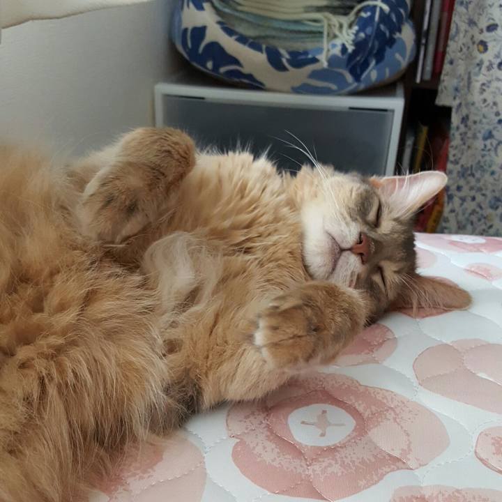 Cb31f9a8 18ca 4878 9982 357cc6c12f42 1569223433445