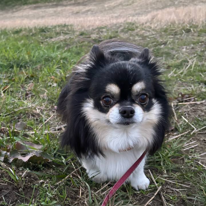 Cb31fc66 60fa 4b5c a526 7be233cf6eb0 1767687280735