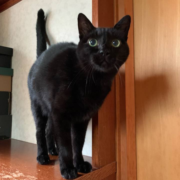 Cb32010d bb60 43a0 9d16 3effa1a3e3e2 1601947601887