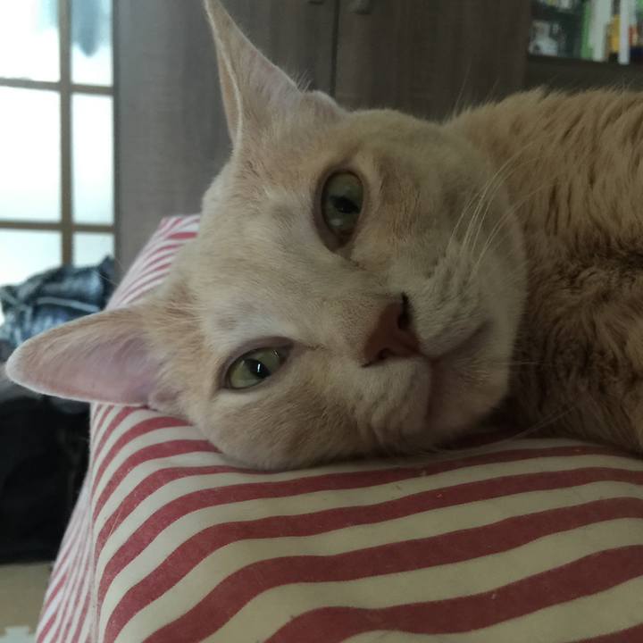 Cb3206ee 338b 4ad1 aa80 57eb4642ca9e 1531269191227