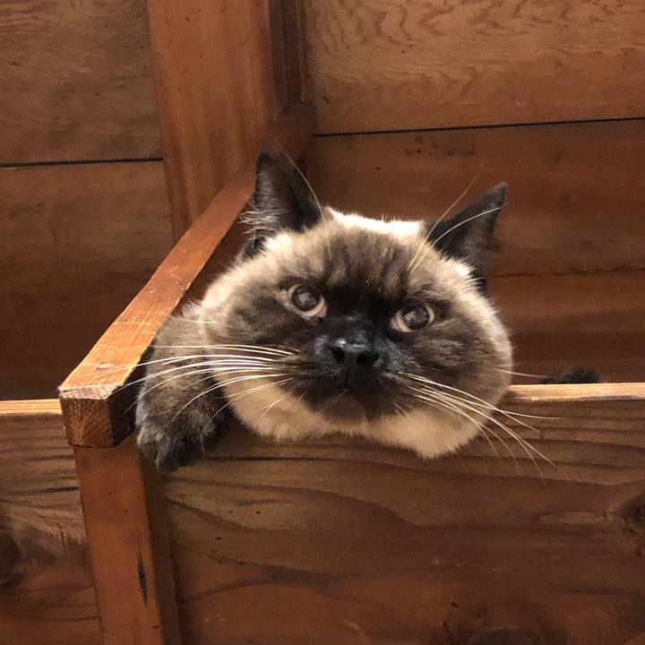 Cb3220cf c6c7 40ba 8812 9321dd0112b4 1608950884544