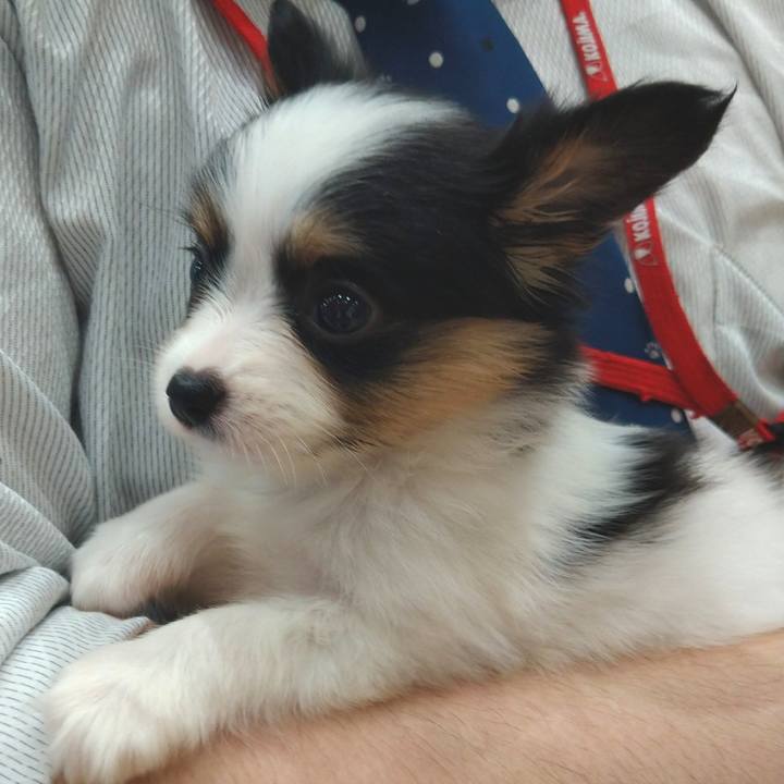 Cb322b9f 44d3 428d ab01 21ac5b714da3 1593270746709