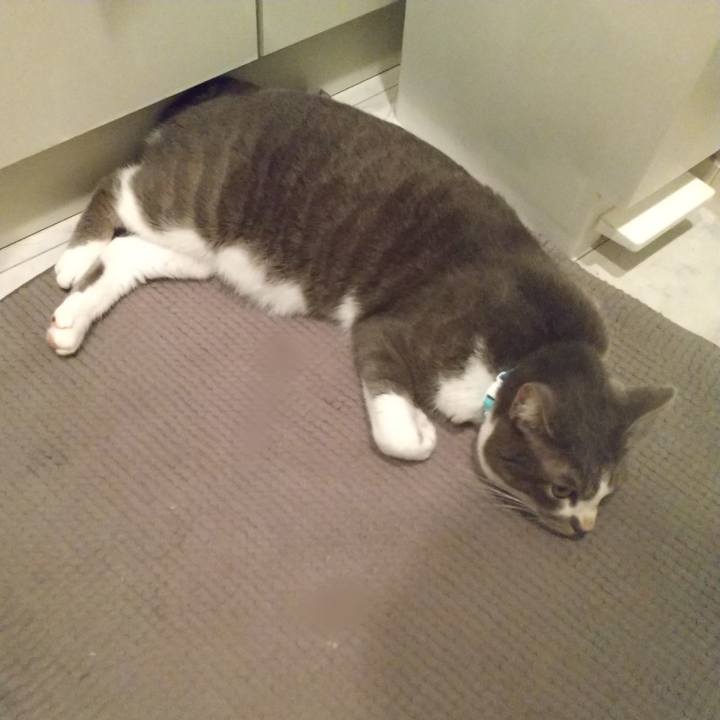 Cb325ab4 5d71 4a69 b3b7 74ba638ef6de 1631445990582