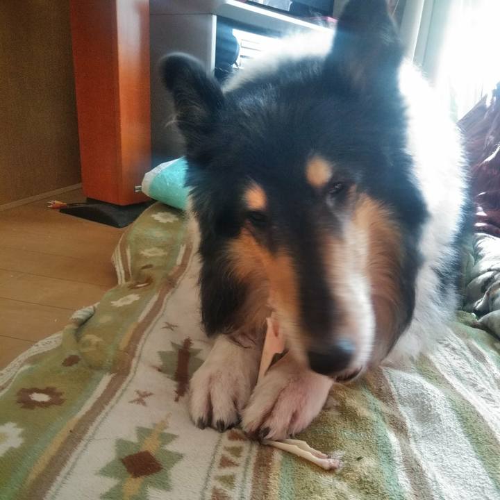 Cb326618 7ad3 4e6c ad0f 890891a56b1a 1510536417380