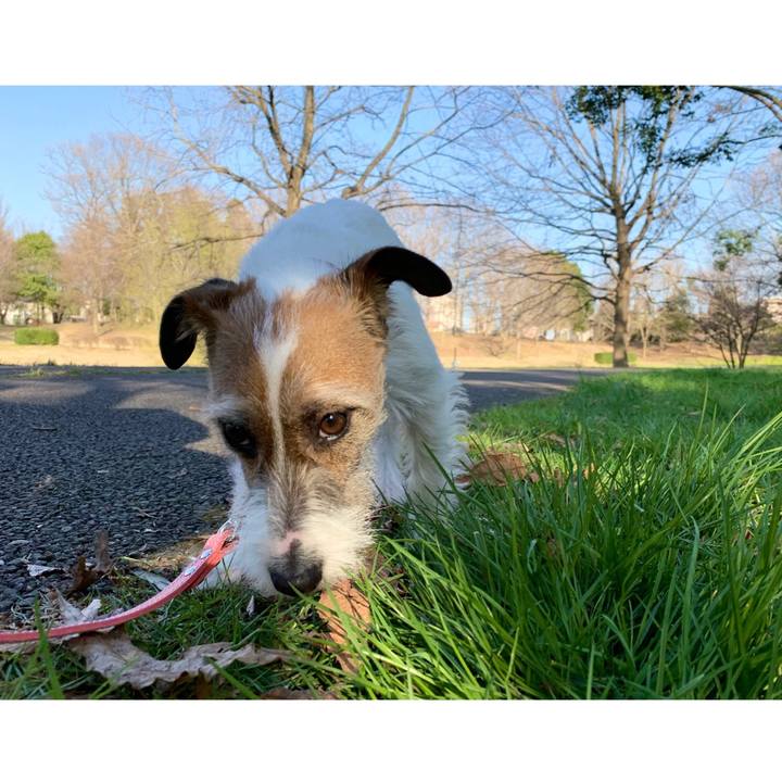 Cb326c36 5119 495a a55a 2af5c65eee52 1584605858765