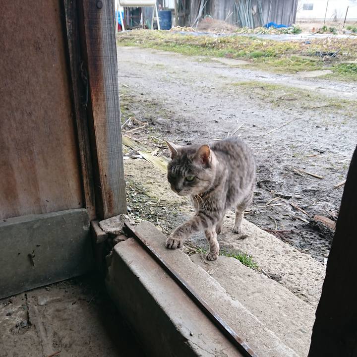 Cb32827f 74b4 42b7 a9db ab43967158ca 1583022771079