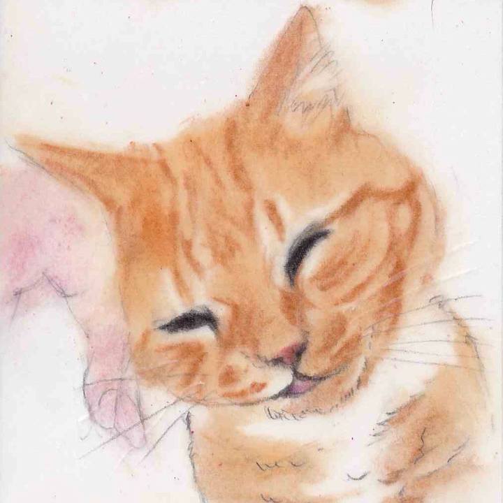 Cb32a1b6 6b7c 474a 94ca 0598ec8b093a 1658973105240