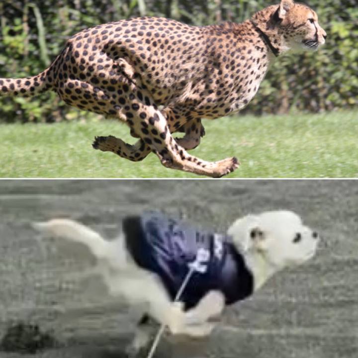 Cb32ac98 d5c7 4198 8606 52051ea91c02 1590378923741