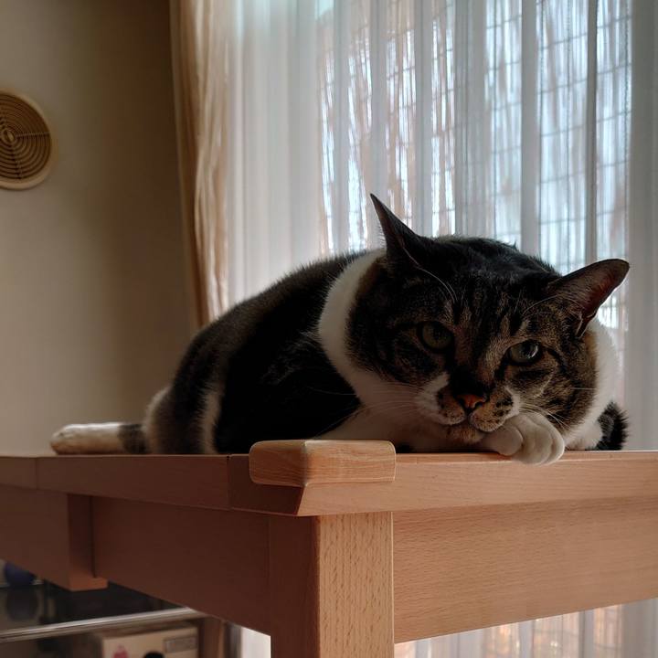 Cb32b7b3 0f22 48ed 96eb 6959068f8cfd 1591673948921