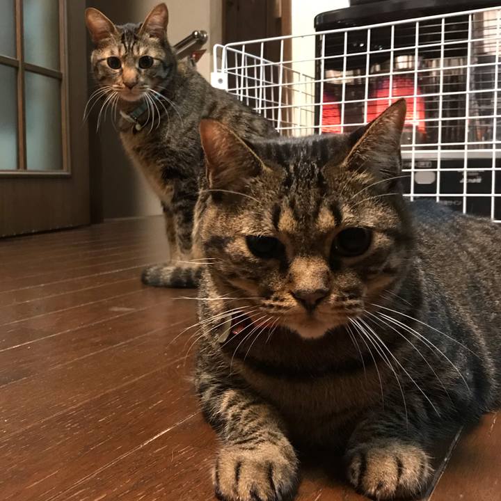 Cb32da10 729d 431d a869 af55489a16f1 1611058821962