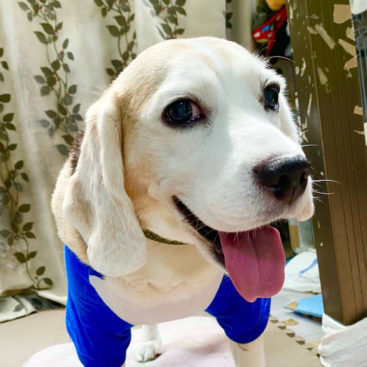 Cb3303db 2632 4fc6 b20b 07e4f5539713 1661139401967