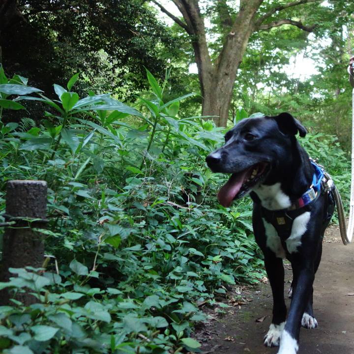 Cb332133 5db2 43aa 8a01 01677a3ae749 1657497856951