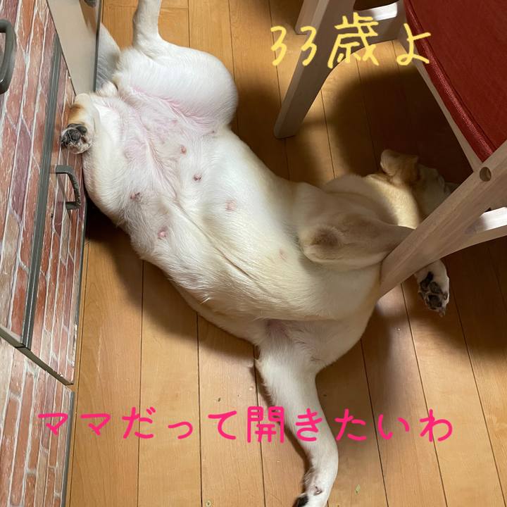 Cb33306f 2a71 4148 a5c4 699d01a999bc 1665576207932