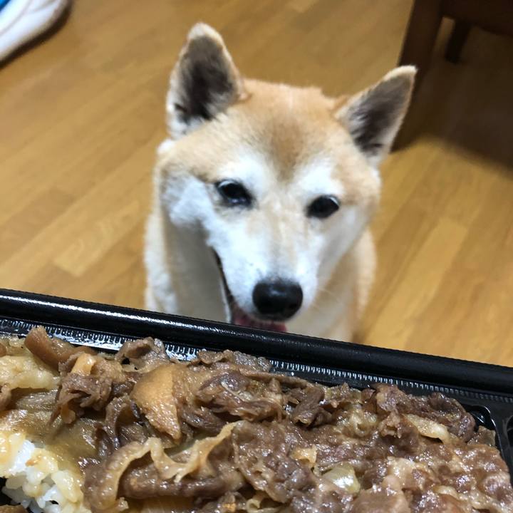 Cb33784b 3718 41e7 8f6f 8ed7a677aa86 1596034500484