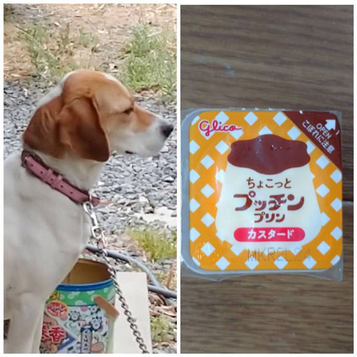 Cb338db3 6633 47e5 b72c f5d3da7bd666 1590997496647