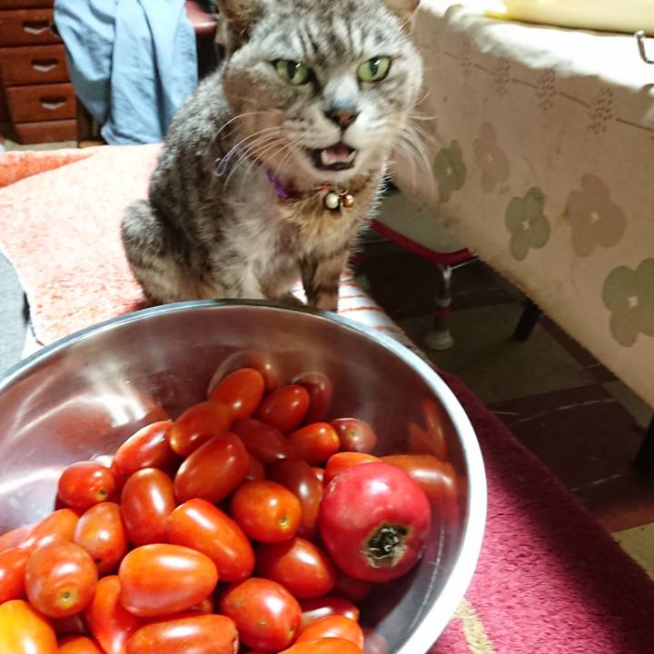 Cb33b587 3e9a 4840 9836 0e381008bba6 1596542340779