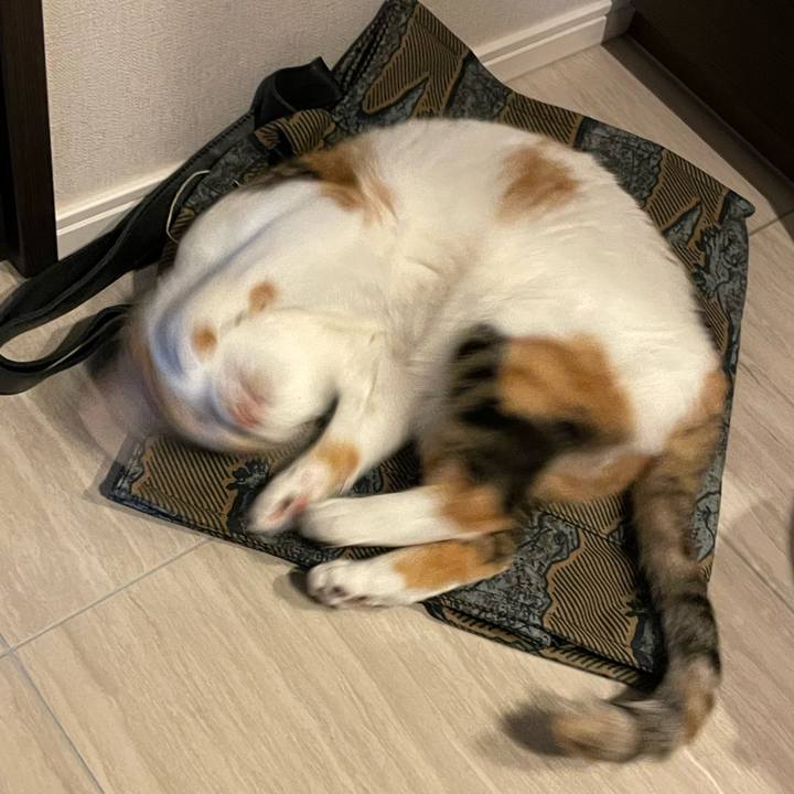 Cb33cabe befa 4185 9336 6dab05875502 1651713177212