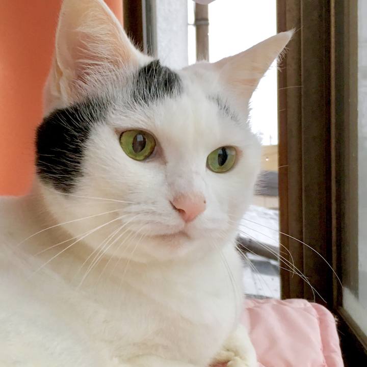 Cb33cdb3 1555 43d8 824e b20ffa2abf4b 1570184588422