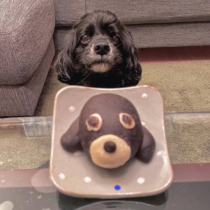 Cb33d3f4 fecb 4c44 86cd 94f87f1a05c8 1667486768868