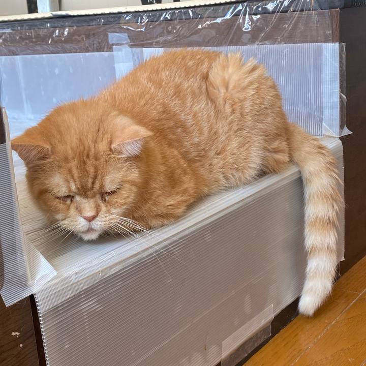 Cb33dfb4 c729 471c a90b 3ed431e25089 1662771783202