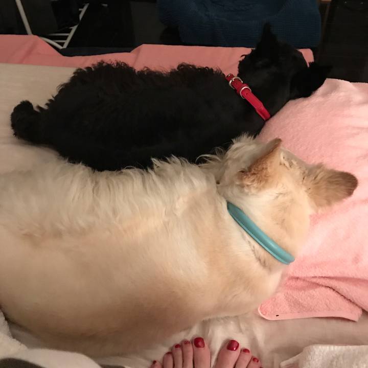 Cb33edf9 73a3 4a15 be76 4cecf469c65e 1524413333886