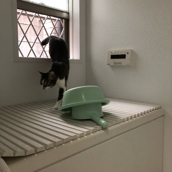 Cb33f45b 7f27 456a bec3 162d3d211a3a 1521886555683