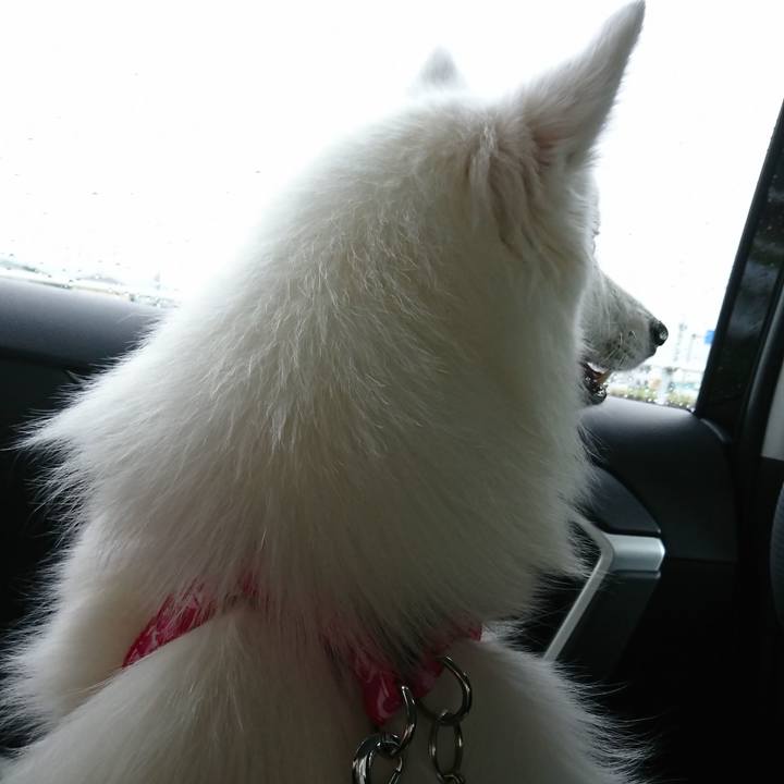 Cb33fadb c65f 4c35 97f4 24b07fd412cc 1560050316162