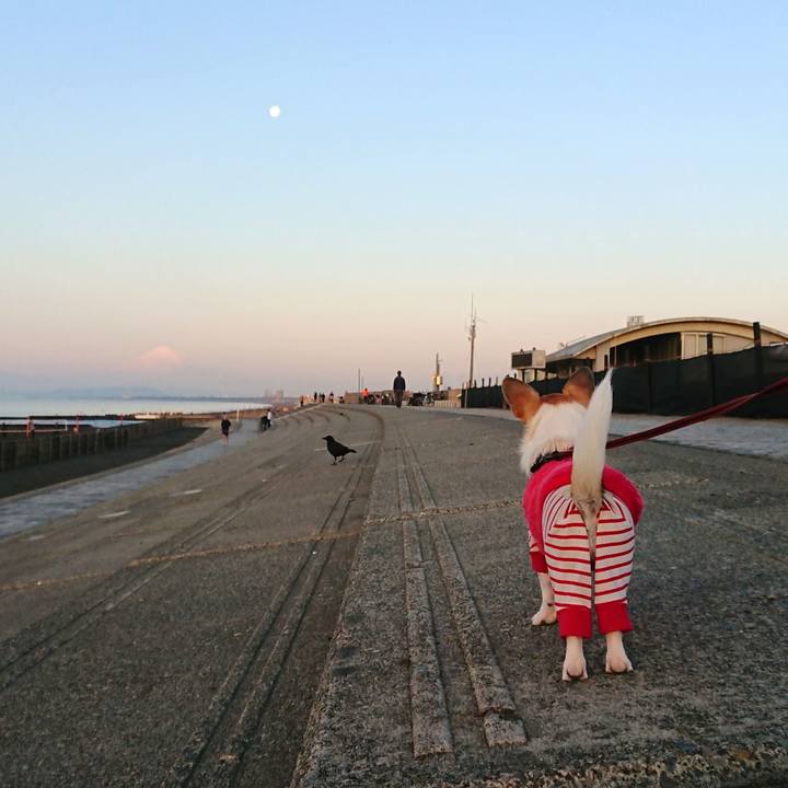 Cb340d16 8322 45bd 9903 72676ab6b3ef 1578986668931