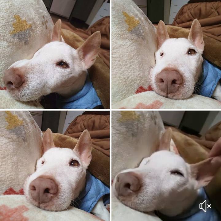 Cb341575 e202 4a54 9c22 ffc8d192f739 1674264285625