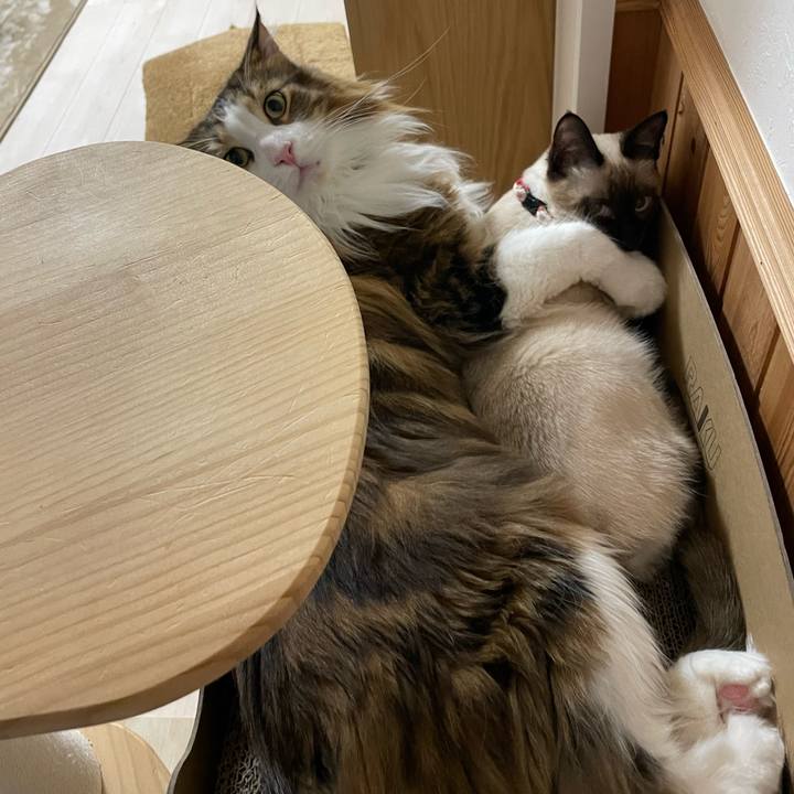 Cb3429fa 6465 4fa0 ab17 1faeaa80b17f 1704227238373