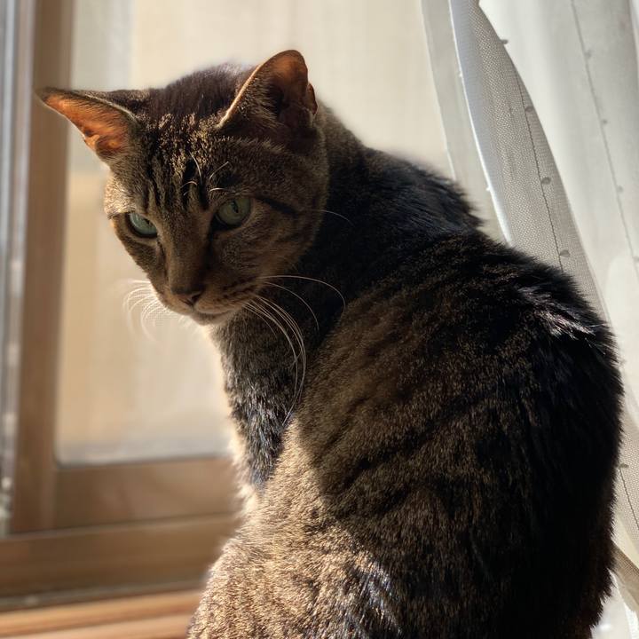 Cb347550 dc87 4d5d a0ab d25be0fdb3b3 1582247414693