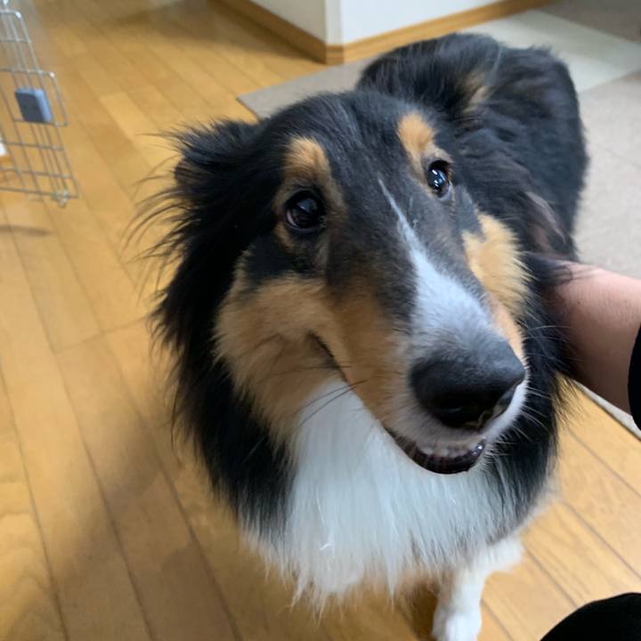 Cb34ce79 0783 47d9 bd81 25459c2544a7 1552946554628