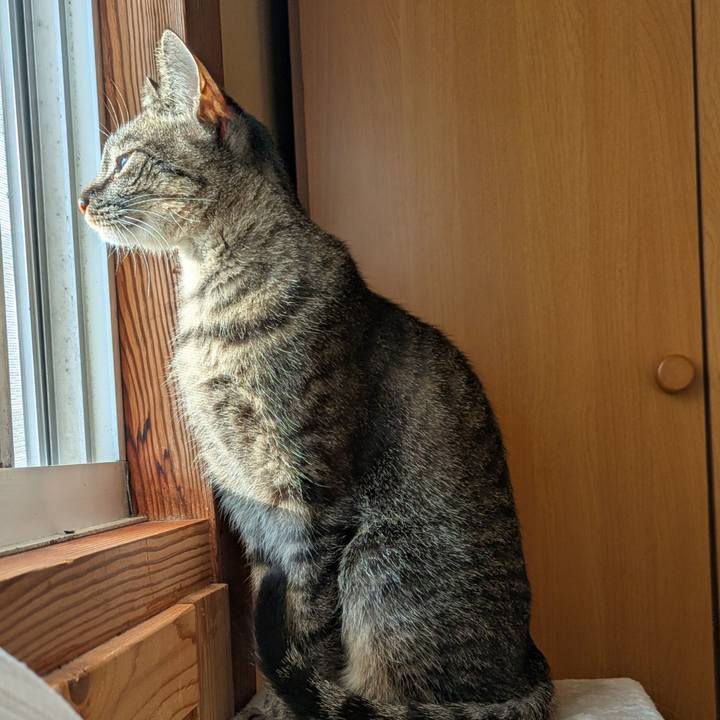 Cb34ddea b602 4eda b654 f2d057b5fbb7 1739682181857