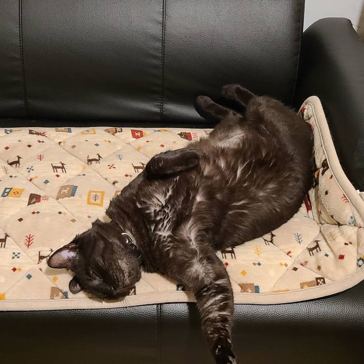 Cb34ffde 4532 46c9 a8fd cf940e43cc63 1685343021284