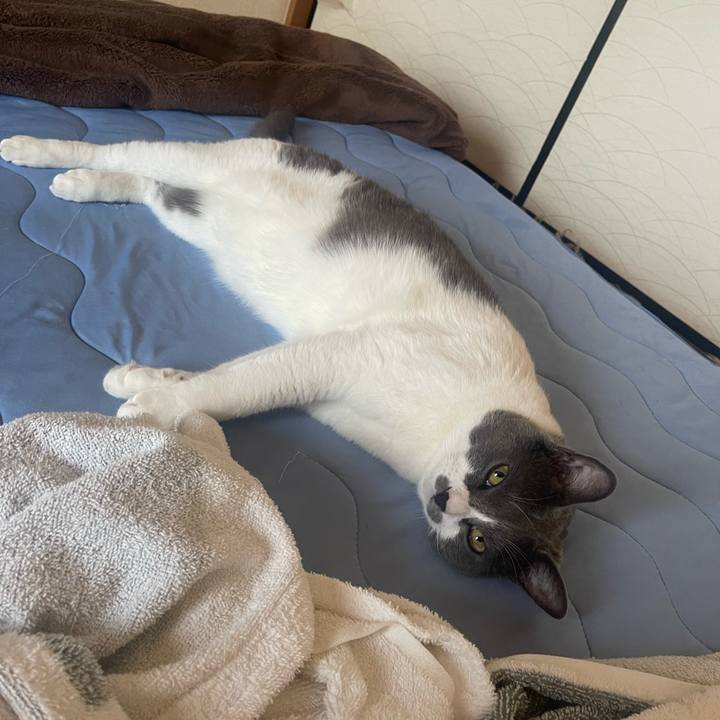 Cb350753 4bfb 4e2c a986 b1944fdf433d 1689463844160