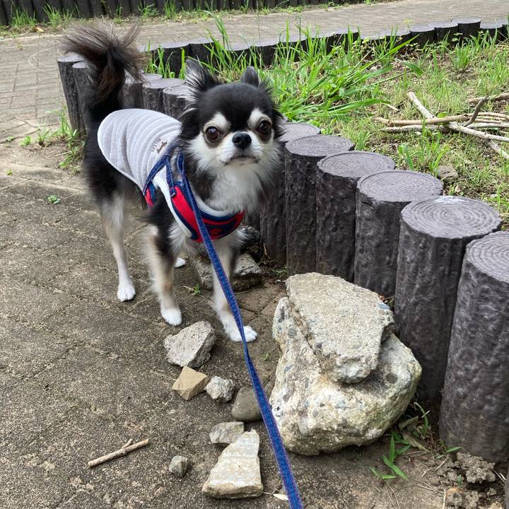 Cb35398d cd75 4f69 8680 0d91adaa0ffa 1716115448168