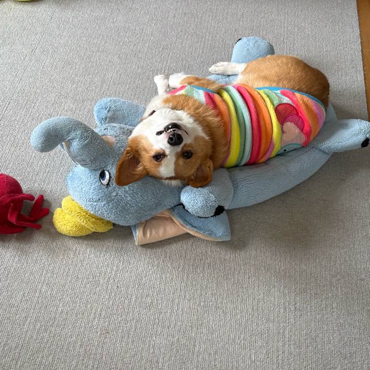 Cb354acf e05a 462b 92a5 c60a55d7f176 1773373311746