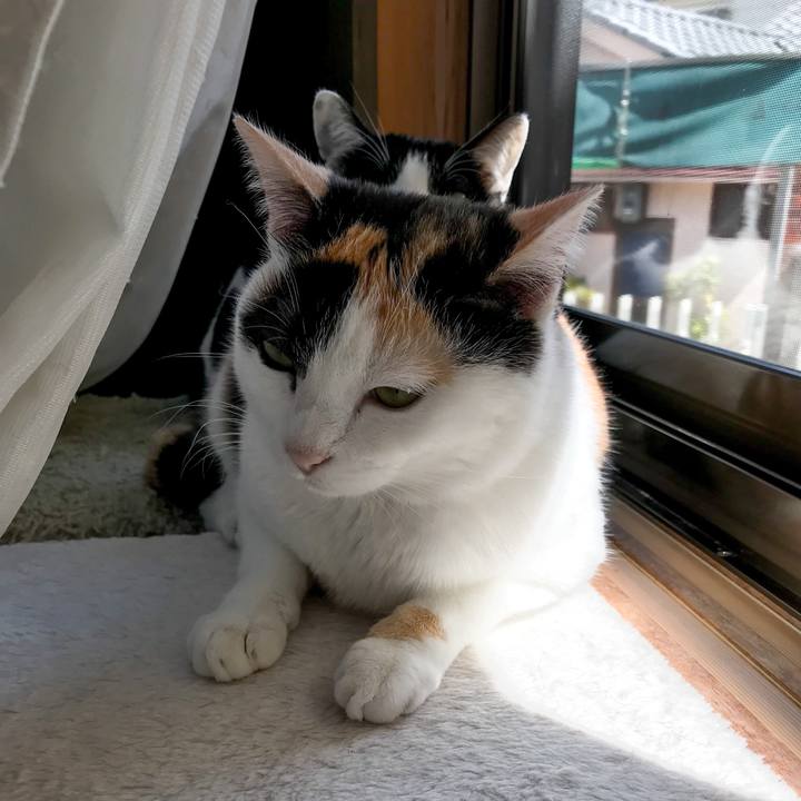 Cb357660 e95c 4c35 b6ca 5b23746f4dfb 1522852704156