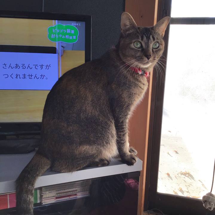 Cb35834a 9ffa 4dcc 96e9 0fad220ec826 1604905060544