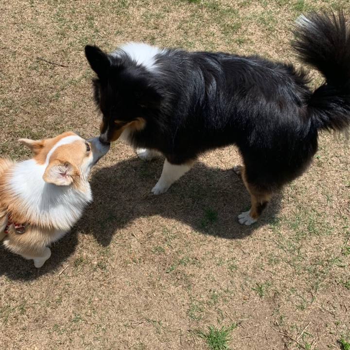 Cb359f92 64f2 4635 b1d2 a421064f7e35 1558238449259