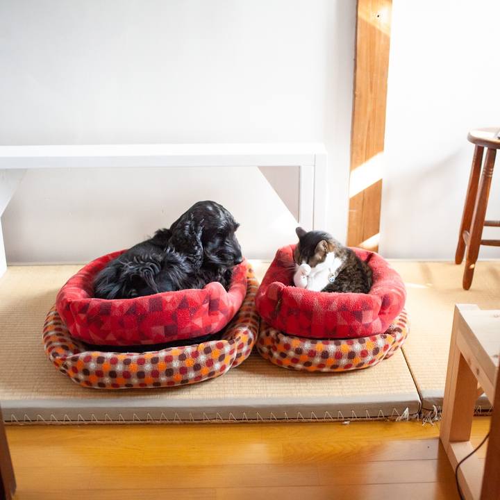 Cb35faa5 7541 4aec bf06 f2a7664f639a 1589444362979