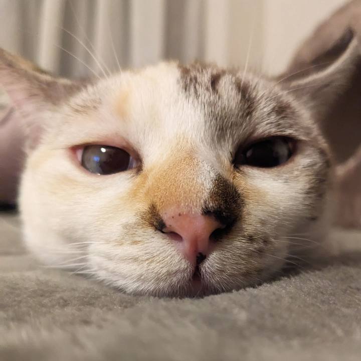 Cb361ab6 829d 4669 98e3 f7d55fbdff71 1704707081670