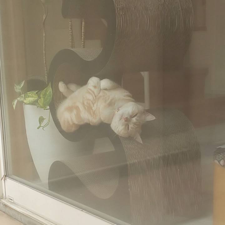 Cb363f3c f647 4569 9cba 855b65ec4f7b 1559702368909