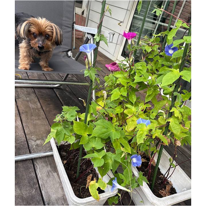 Cb3683f2 7b53 4df3 bc6c 4eed49b39fec 1756076935254