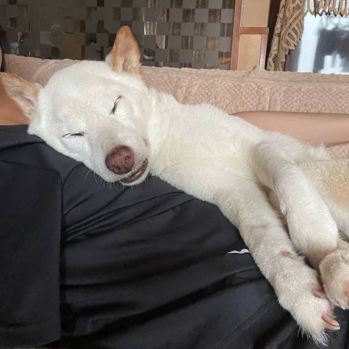 Cb3689a5 460d 49e7 822c 39d060de563a 1656914098631