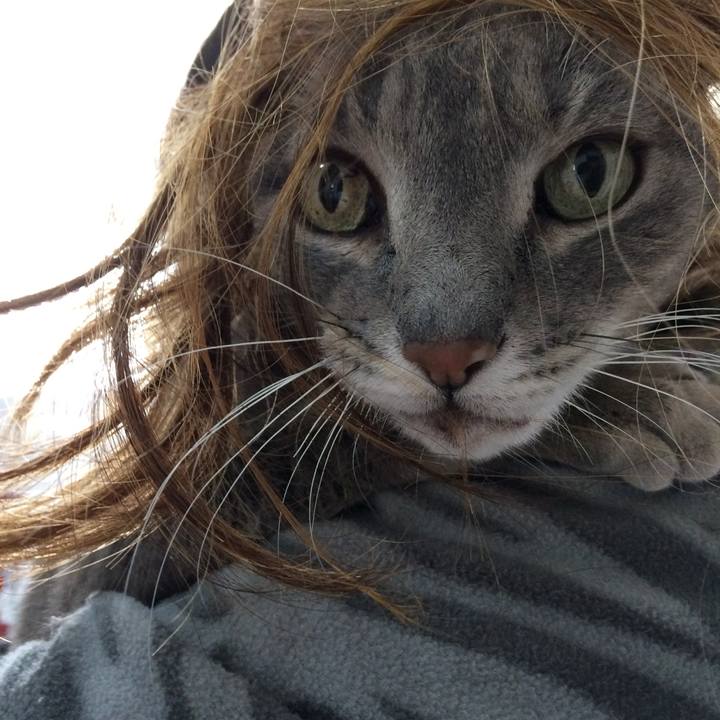 Cb3697fe e05c 49d9 a361 1657bfd0d5e7 1533578071693