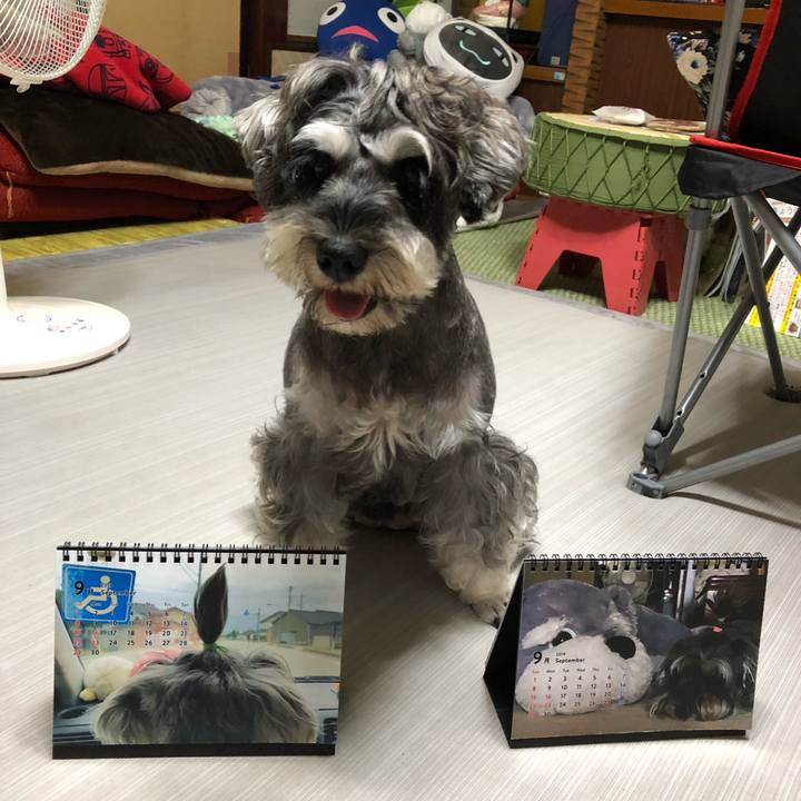 Cb369ba4 0970 40de 8d3e 21d8e85e3723 1567512397639